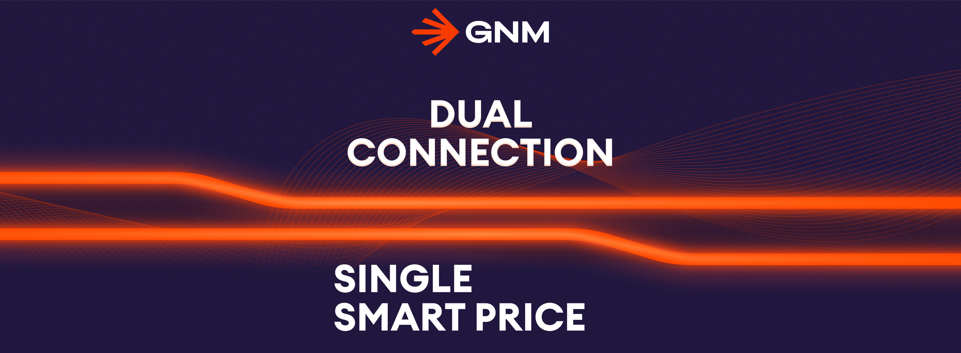 DWDM: Dual Connection - Single Smart Price