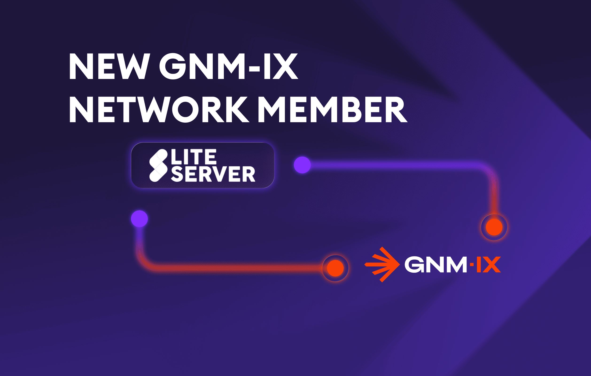 LiteServer .png